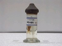 藏品(羅漢魚)的圖片